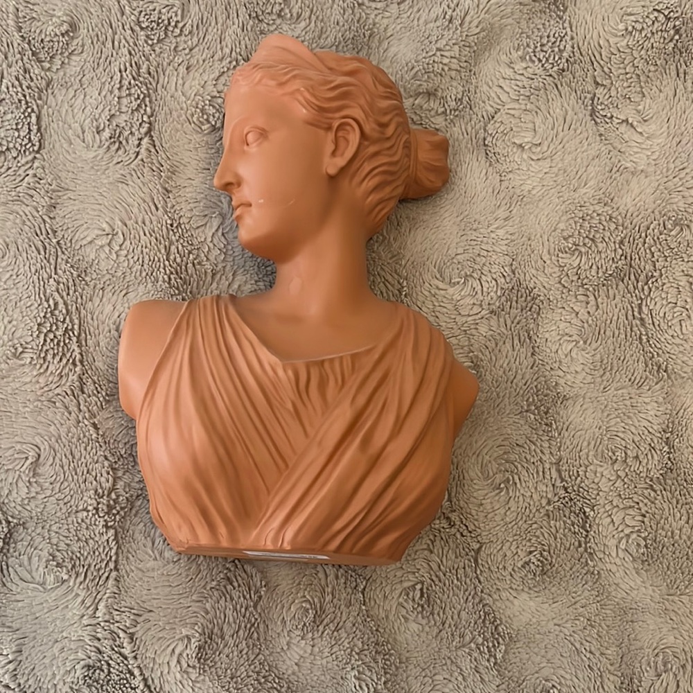 TJMaxx woman bust vase, in burnt orange